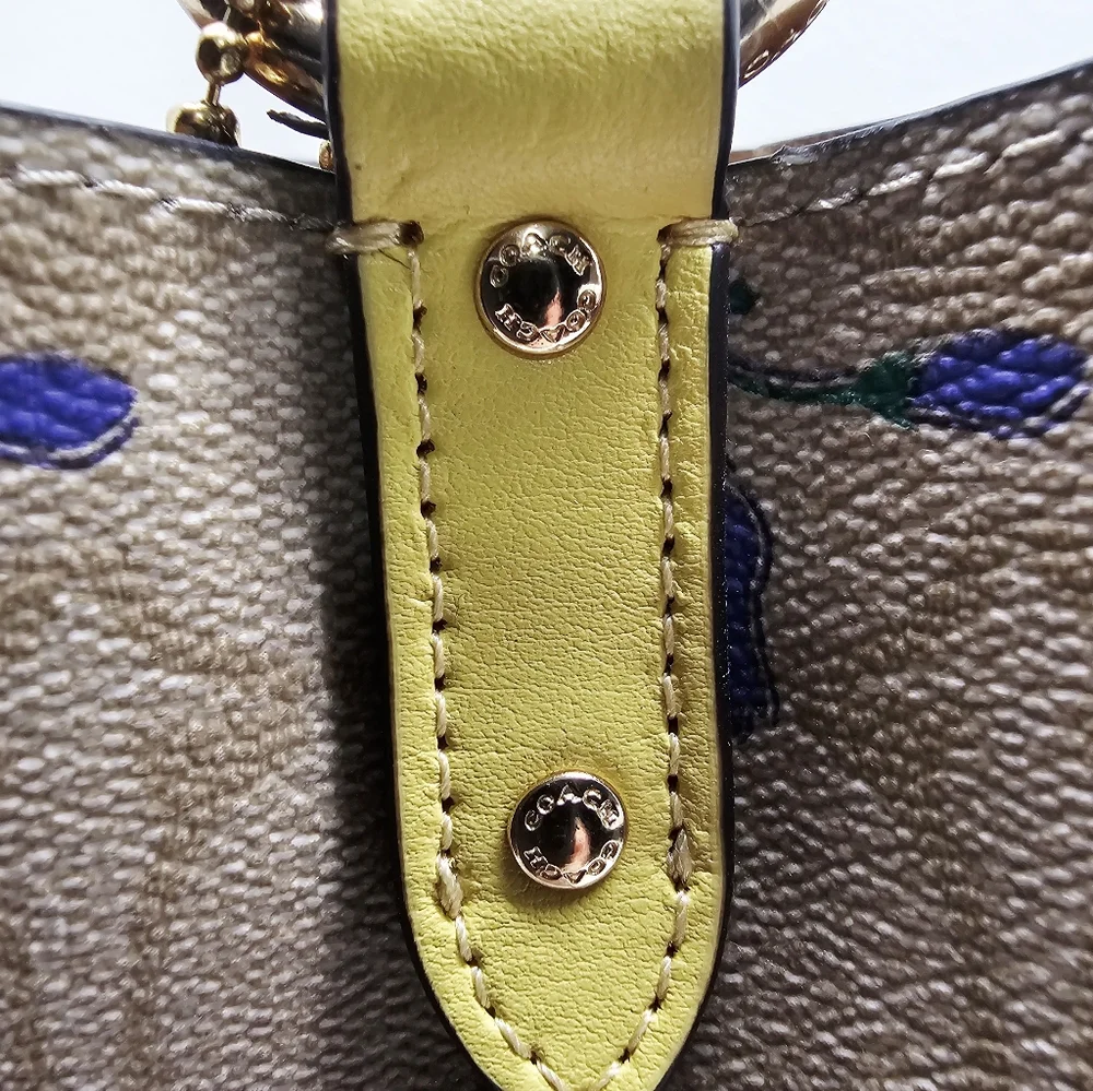 Coach Small Town Bucket Bag In Signature Canvas Dreamy Veggie Print Retails $385 - Picture 14 of 16